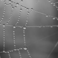 stacks_image_A39929AC-5E12-4852-8D0C-FC5EF535B4E5